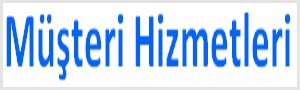 izmiryetkiliservisi.com.tr